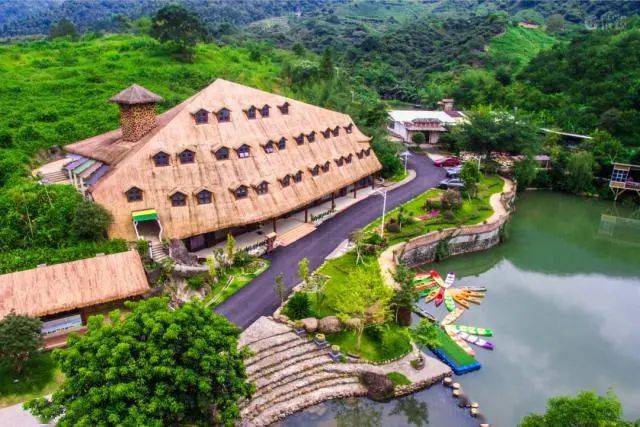 柿子红啦！佛山周边赏秋柿，两天玩转桂峰村“柿”外桃源与神秘黑熊基地