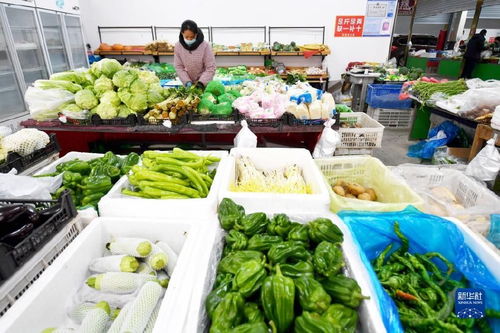 应对寒潮挑战，筑牢农产品生产供应防线