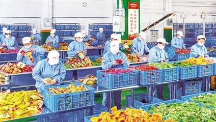广西农产品加工业加速集聚，助力产业链优化升级