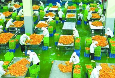 农产品从田间进车间上‘云端’ 现代农业销售模式的新变革