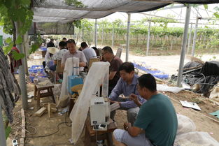 山东省农业科学院农产品所三夏生产工作进展顺利，销售态势良好